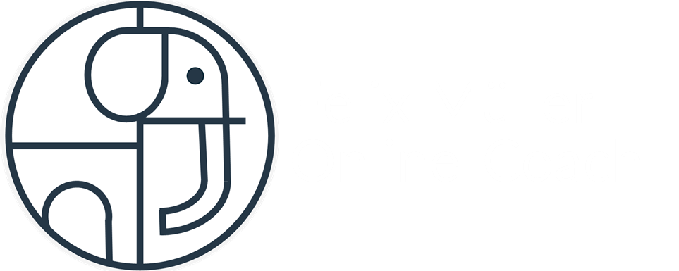 Felix Müller, Coach